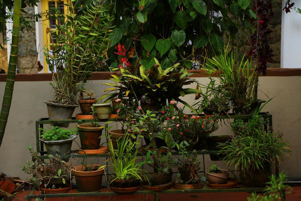 Pavithram Homestay Munnar Exteriör bild